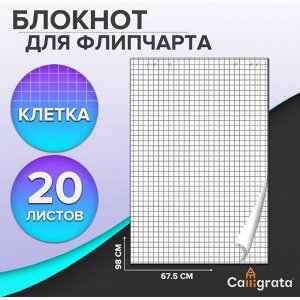 Блокнот для флипчарта в клетку Calligrata, 67.5x98 см, 20 листов, 80 г/м², белизна 92%