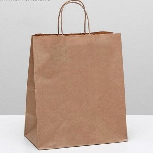Пакет крафт без печати, круглая ручка 24 х 14 х 28 см