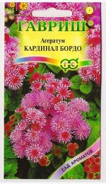 Агератум Кардинал бордо (Код: 11625)