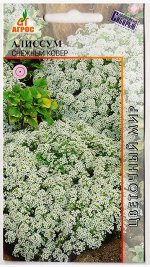 Алиссум Снежный Ковер (Код: 78528)