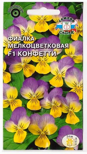 Фиалка Конфетти (Код: 78480)