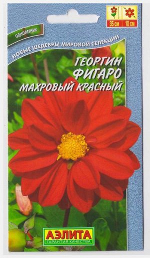 Георгина Фигаро красная махровая (Код: 10461)