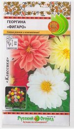 Георгина Фигаро смесь (Код: 553 )