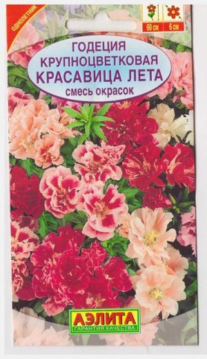 Годеция Красавица лета (Код: 2461)