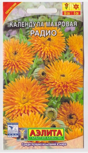 Календула Радио махровая (Код: 4569)