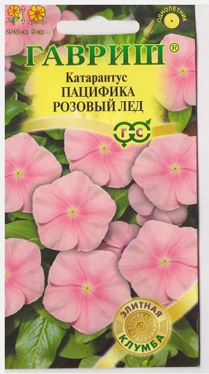 Катарантус Пацифика Розовый Лед (Код: 74205 )