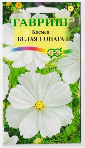 Космея Белая Соната (Код: 13227)