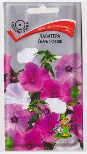 Лаватера смесь окрасок (Код: 393)