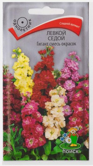 Левкой Гигант смесь окрасок (Код: 5814)