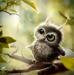 Алмазная мозаика  без подрамника  частичная выкладка    арт.YCC20668 СОВЕНОК