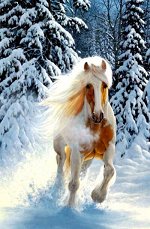 Картина по номерам  холст на подрамнике     арт.RAS2333 КОНЬ