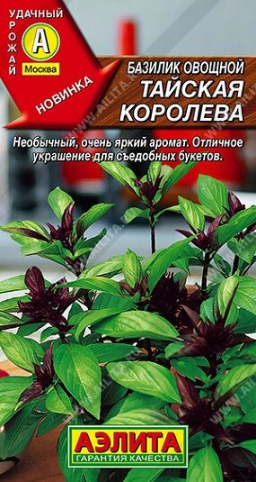 Базилик Тайская Королева (Код: 90899)