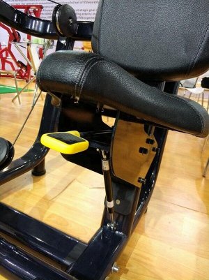 Разгибание спины Insight Fitness TF11