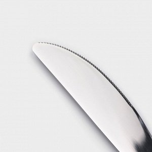 Нож столовый из нержавеющей стали Magistro «Джентри», длина 22,5 см, цвет серебряный