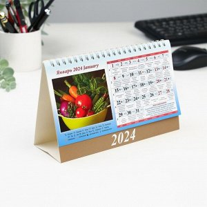 Календарь настольный, домик "Садово-огородный лунный календарь" 2024, 20х14 см