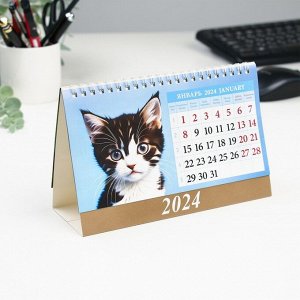 Календарь настольный, домик "Котята" 2024, 20х14 см
