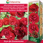 Роза Хоуп фо Хьюмэнити (Канадская/Парковая) 1шт (Сиб сад)
