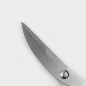 Ножницы кухонные Доляна «Профи», 25?4?1,5 см, цвет чёрный