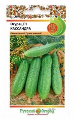 Семена Огурец Кассандра 8шт