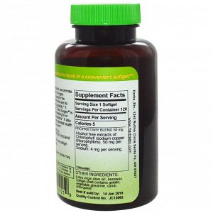 Herbs Etc., ChlorOxygen, Концентрат хлорофилла, Не содержит спирт, 120 гелевых капсул быстрого действия