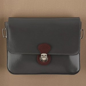 Застёжка для сумки, пришивная, 6 x 4 см, цвет тёмно-коричневый/серебряный
