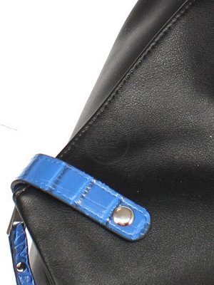 Рюкзак жен искусственная кожа ADEL-209/1в,  1отд+карм/перег,  черный/синий  256164