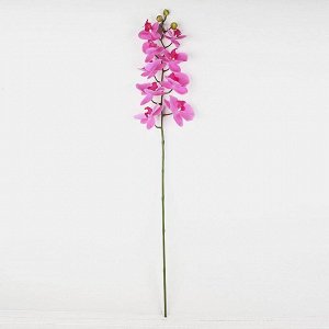7141/0483-3 Орхидея (латекс) микс h-96см