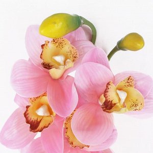 7141/9236-1 Орхидея
