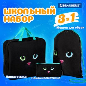 Папка на молнии с ручками А4, мешок для обуви 42х33 см, пенал 20х10 см, "Black cat" НАБОР BRAUBERG, 271434