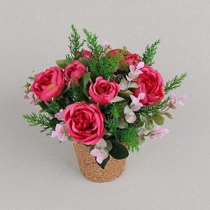 КС25-2 Роза пионовидная в кашпо (пурпурная)