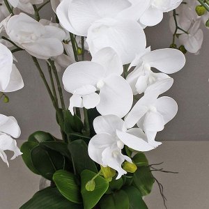ЦИ87/33 Орхидея (латекс) в интерьер. кашпо h-11см