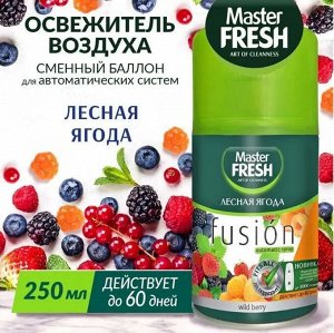 ARVITEX Master Fresh освеж.воздуха СМЕННЫЙ БАЛЛОН д/авт.спрея ЛЕСНАЯ ЯГОДА 250 мл 6894