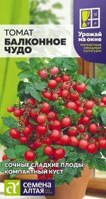 Томат Балконное Чудо 0,1 гр. УРОЖАЙ НА ОКНЕ!
