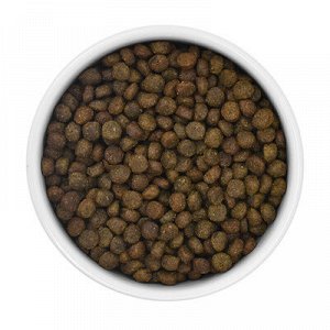 Сухой корм Savita для взрослых кошек с чувствительным пищеварением с индейкой и бурым рисом. 0,6 кг. Холистик. Россия