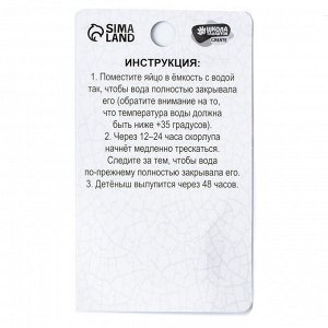 Растущие игрушки «Мир динозавров», МИКС