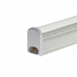 Фитосветильник светодиодный ФитоЛето, 10 Вт, 570 мм, IP20, 220 В, для рассады и цветения