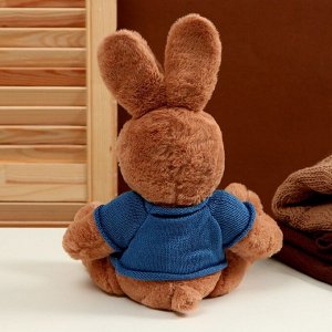 Мягкая игрушка «Зайка», в свитере, 25 см, цвет МИКС