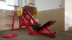 Жим ногами под углом 45 градусов Insight Fitness TM91