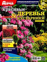ЛЮБИМАЯ ДАЧА С/ВЫПУСК 3/16 красивые деревья и кустарники