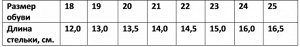 Ботинки демисезонные для мальчика