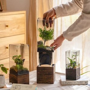 Стеклянная ваза с натуральным деревом, Квадрат, 9х30 см