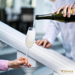 WILMAX Crystalline Набор бокалов для шампанского 2шт, 230мл