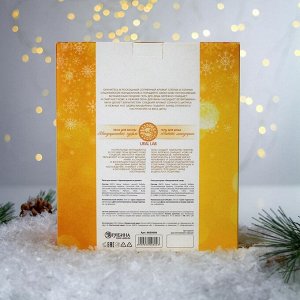 URAL LAB, Подарочный новогодний набор «Сочное настроение», гель для душа и пена для ванны, 2х250 мл
