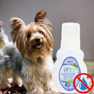 Безводный (сухой шампунь) PETPERSS, не требующий смывания шампунь-пенка для собак с любым типом шерсти (Лаванда) 300мл
