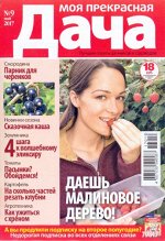 Журналы