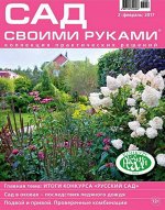 САД СВОИМИ РУКАМИ 2/17