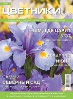 ЦВЕТНИКИ в саду 6/15