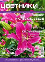 ЦВЕТНИКИ в саду 7/15