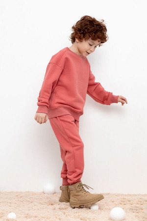 Брюки(Осень-Зима)+boys (пыльный кедр к428)