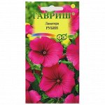Цветы однолетние